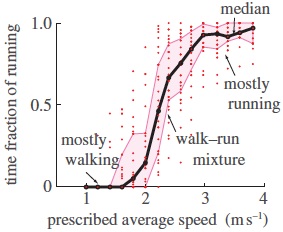 Humans mixing walking and running.